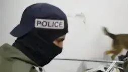 מבצע מעצרים וחיפושים שהוביל להגשת הצהרת תובע נגד בכירים במשפחת הפשע חרירי 
16.1.22