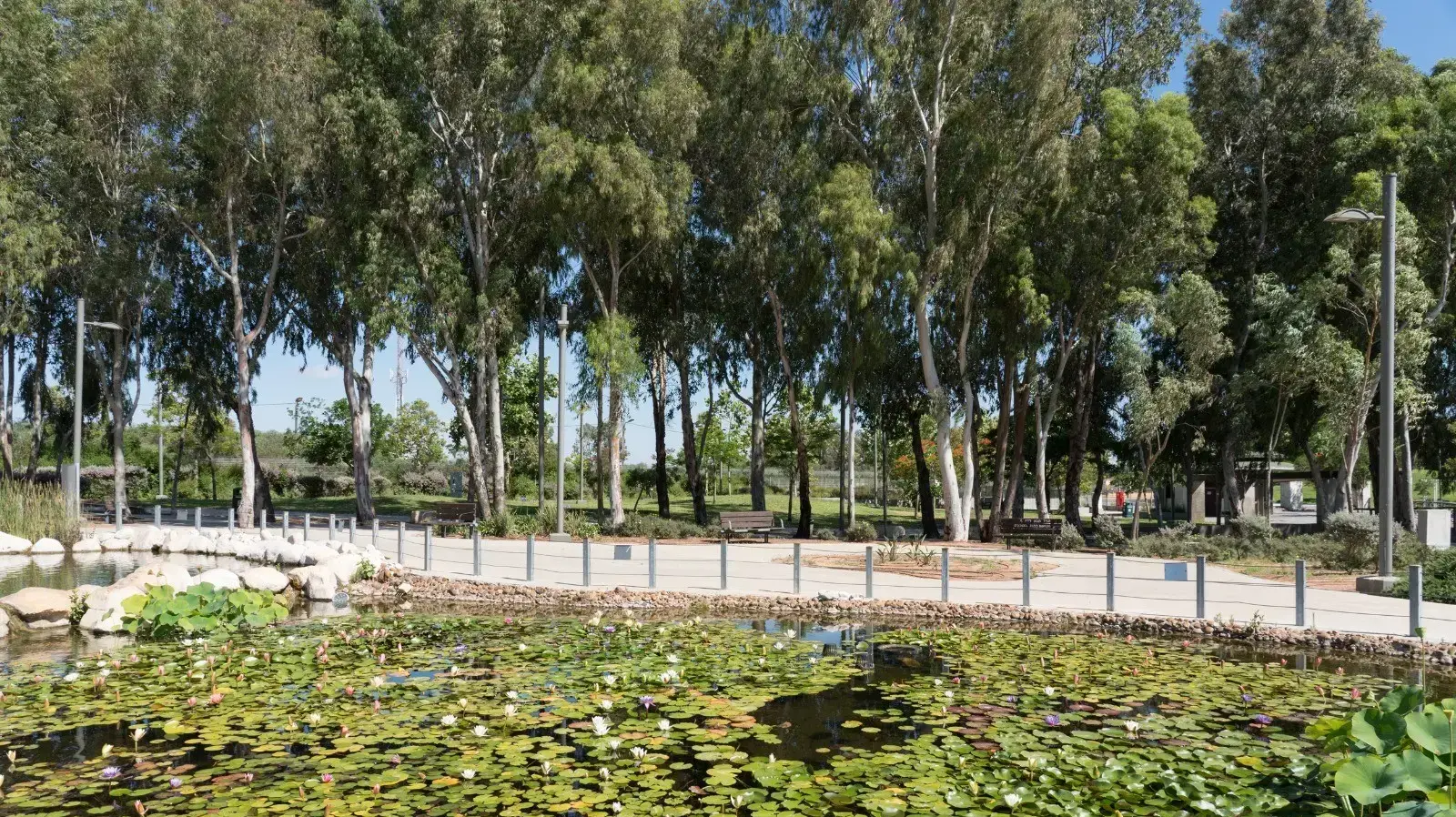 פארק ״הנצח״ ברמת השרון 