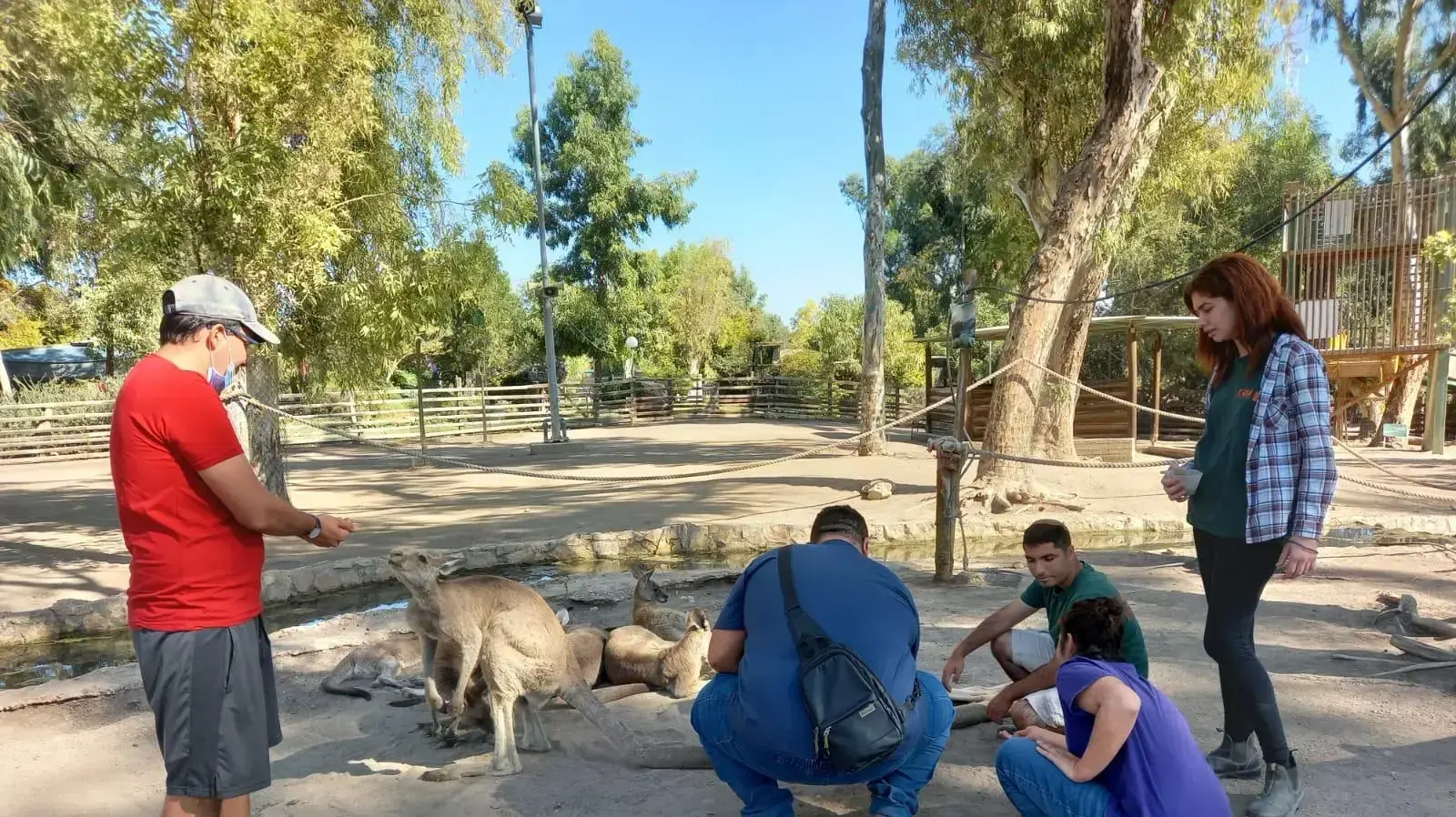 עמותת "עוצמה" עמותת "עוצמה"