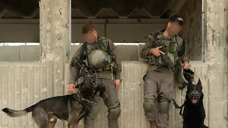 לוחמי אגוז במהלך אימון, 22 באפריל, 2021 לוחמי אגוז במהלך אימון, 22 באפריל, 2021