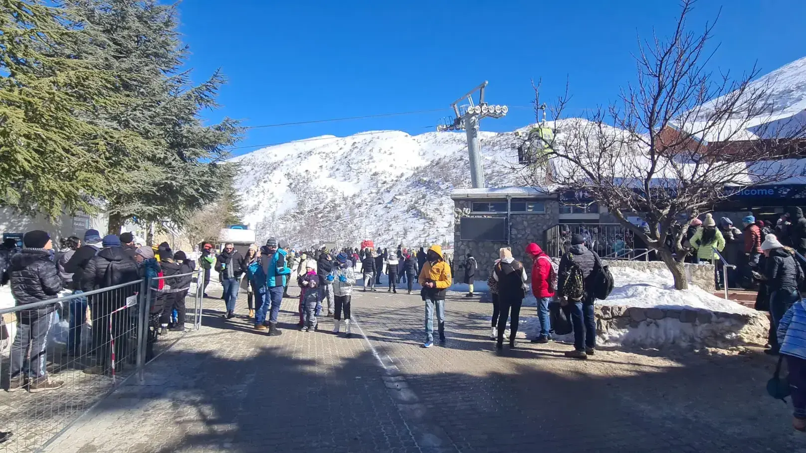 מבלים באתר החרמון, 21 בינואר 2022 מבלים באתר החרמון, 21 בינואר 2022