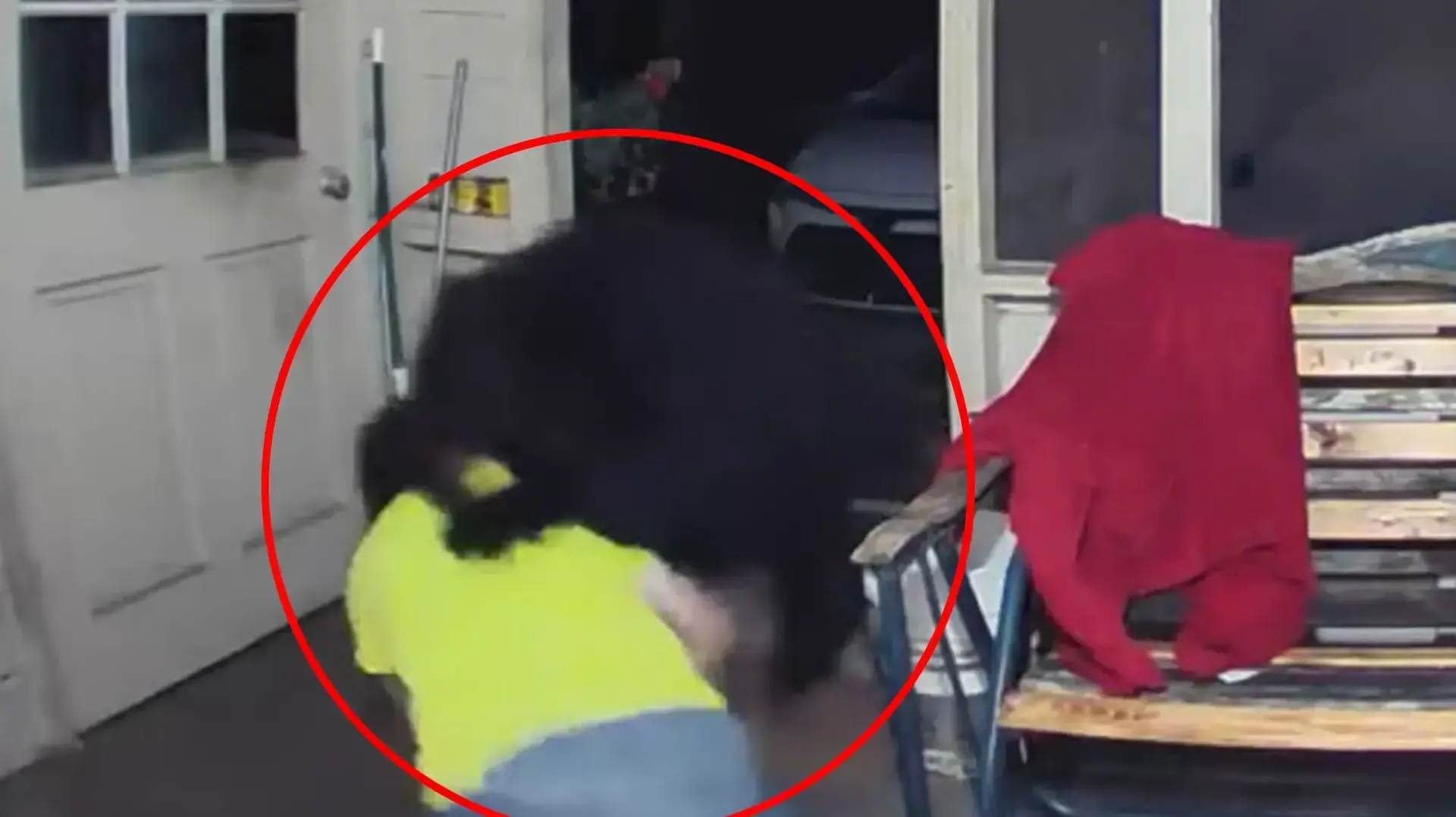 גבר נלחם בדוב בפתח ביתו
