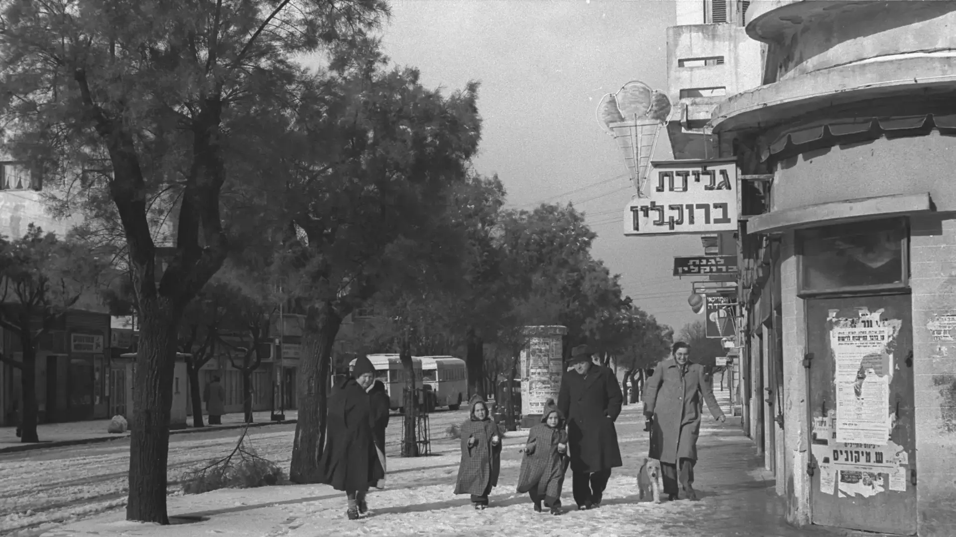 שלג בתל אביב, שנות ה-50 שלג בתל אביב, שנות ה-50