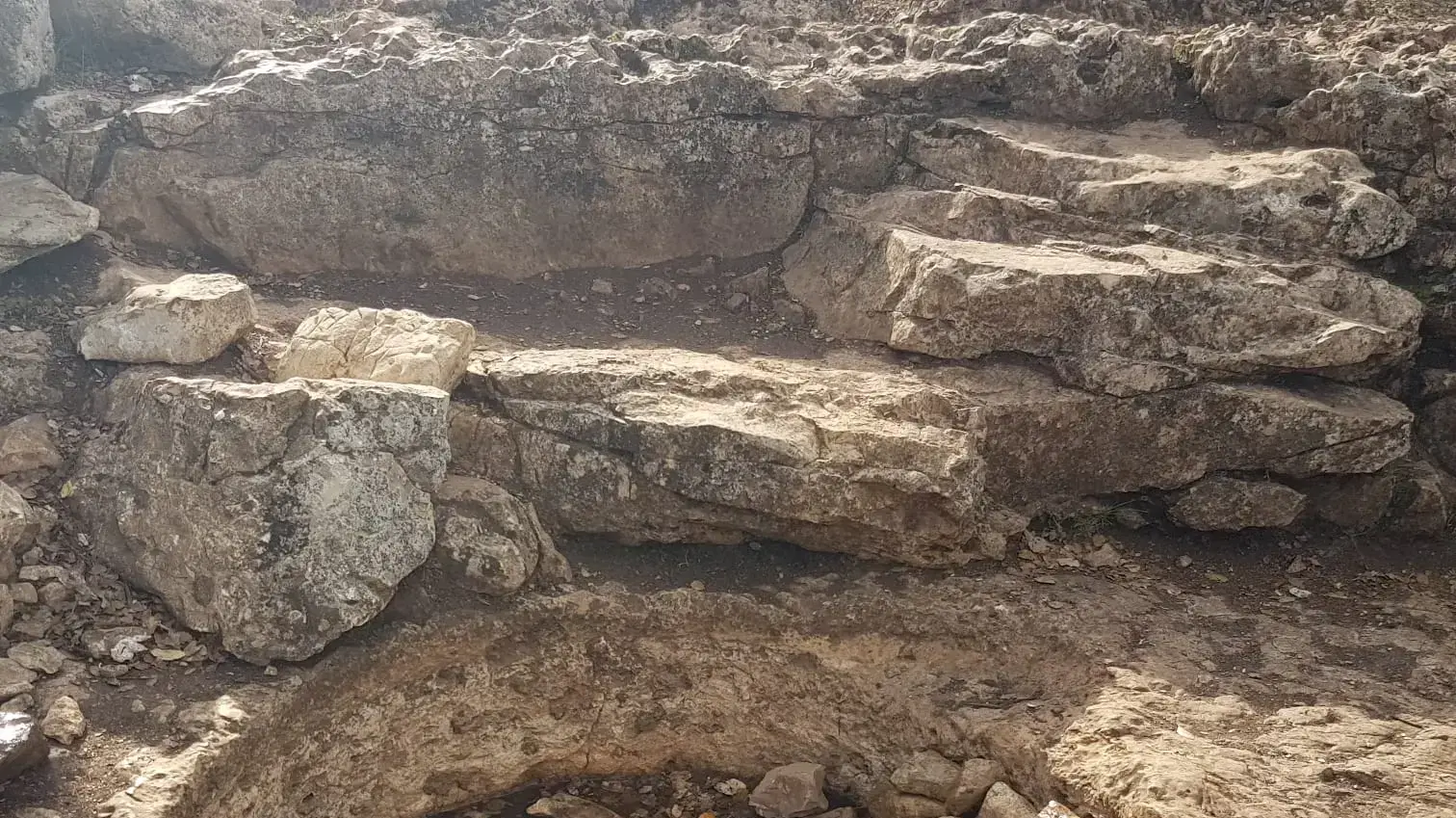 הגת העתיקה שתלמידי בית ג'ן בנו בה סולמנדרה שתאפשר לסלמנדרות לטפס החוצה אחרי שהשריצו הגת העתיקה שתלמידי בית ג'ן בנו בה סולמנדרה שתאפשר לסלמנדרות לטפס החוצה אחרי שהשריצו