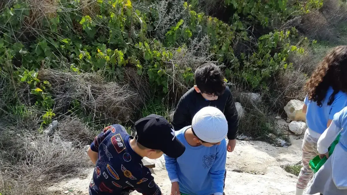 תלמידי בית ג'ן בנו סולמנדרה שתאפשר לסלמנדרות לטפס החוצה אחרי שהשריצו תלמידי בית ג'ן בנו סולמנדרה שתאפשר לסלמנדרות לטפס החוצה אחרי שהשריצו