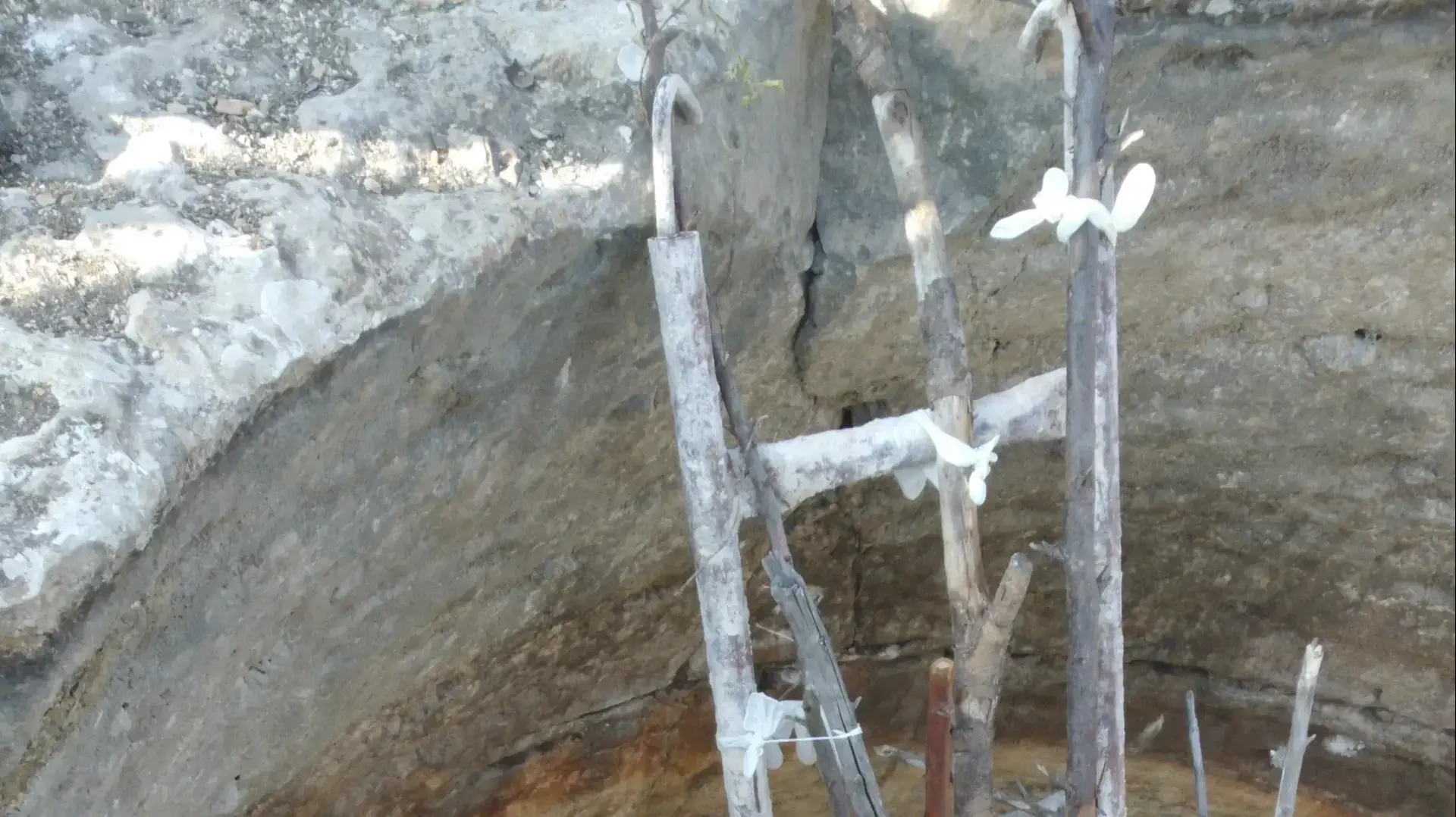 תלמידי בית ג'ן בנו סולמנדרה שתאפשר לסלמנדרות לטפס החוצה אחרי שהשריצו תלמידי בית ג'ן בנו סולמנדרה שתאפשר לסלמנדרות לטפס החוצה אחרי שהשריצו
