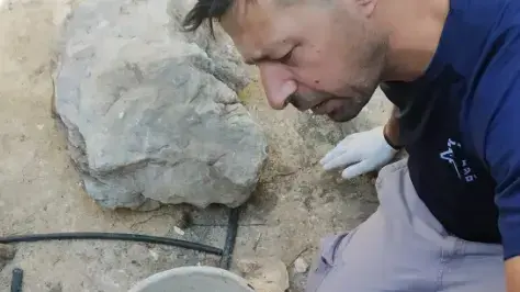 תלמידי בית ג'ן ש"אימצו" את הסלמנדרות תלמידי בית ג'ן ש"אימצו" את הסלמנדרות