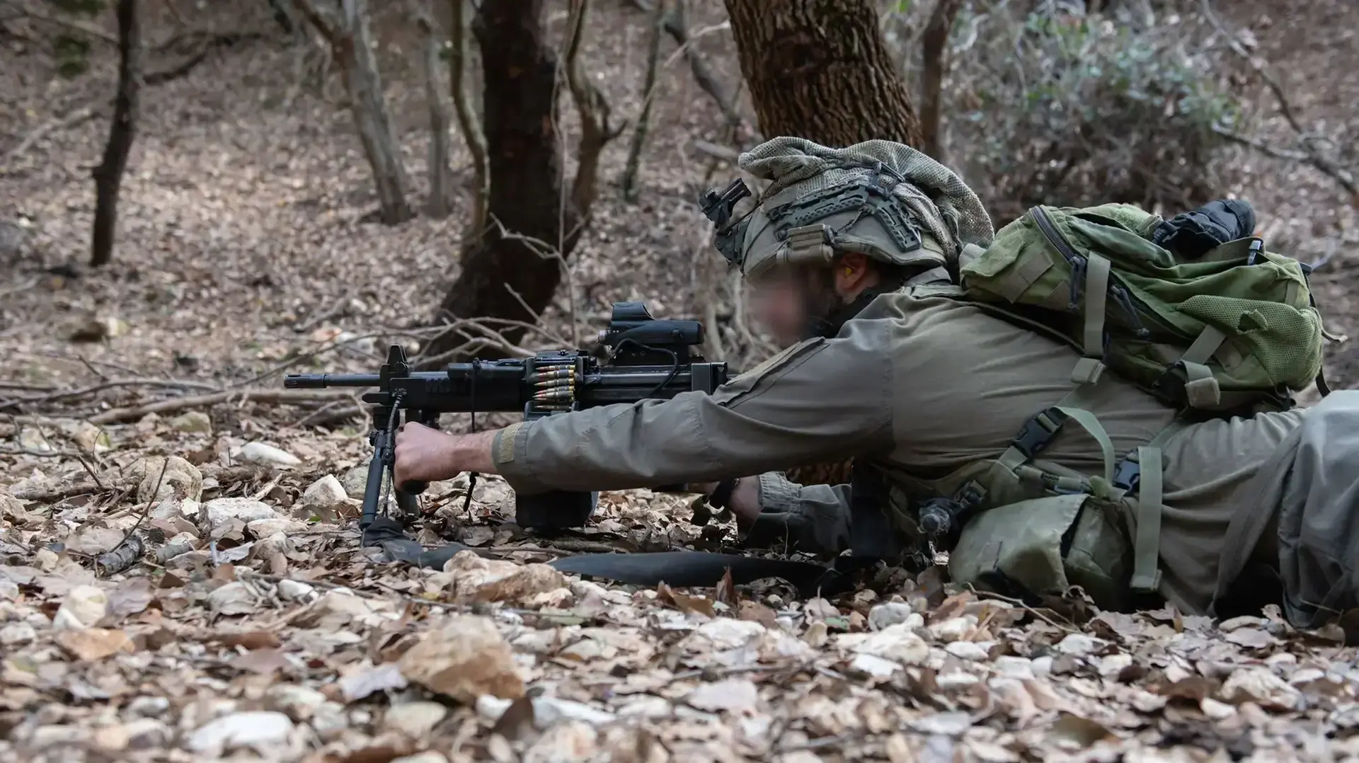 יחידת אגוז יחידת אגוז