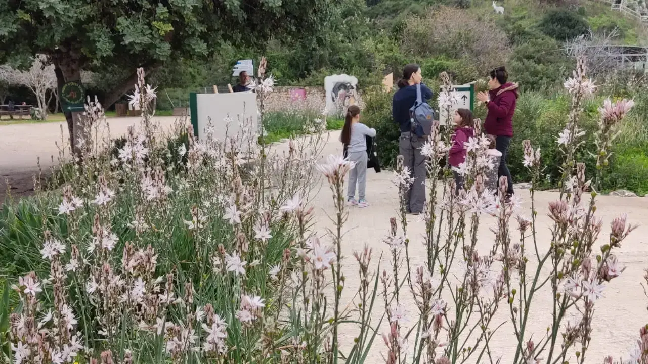 מטיילים בנחל מערות מטיילים בנחל מערות