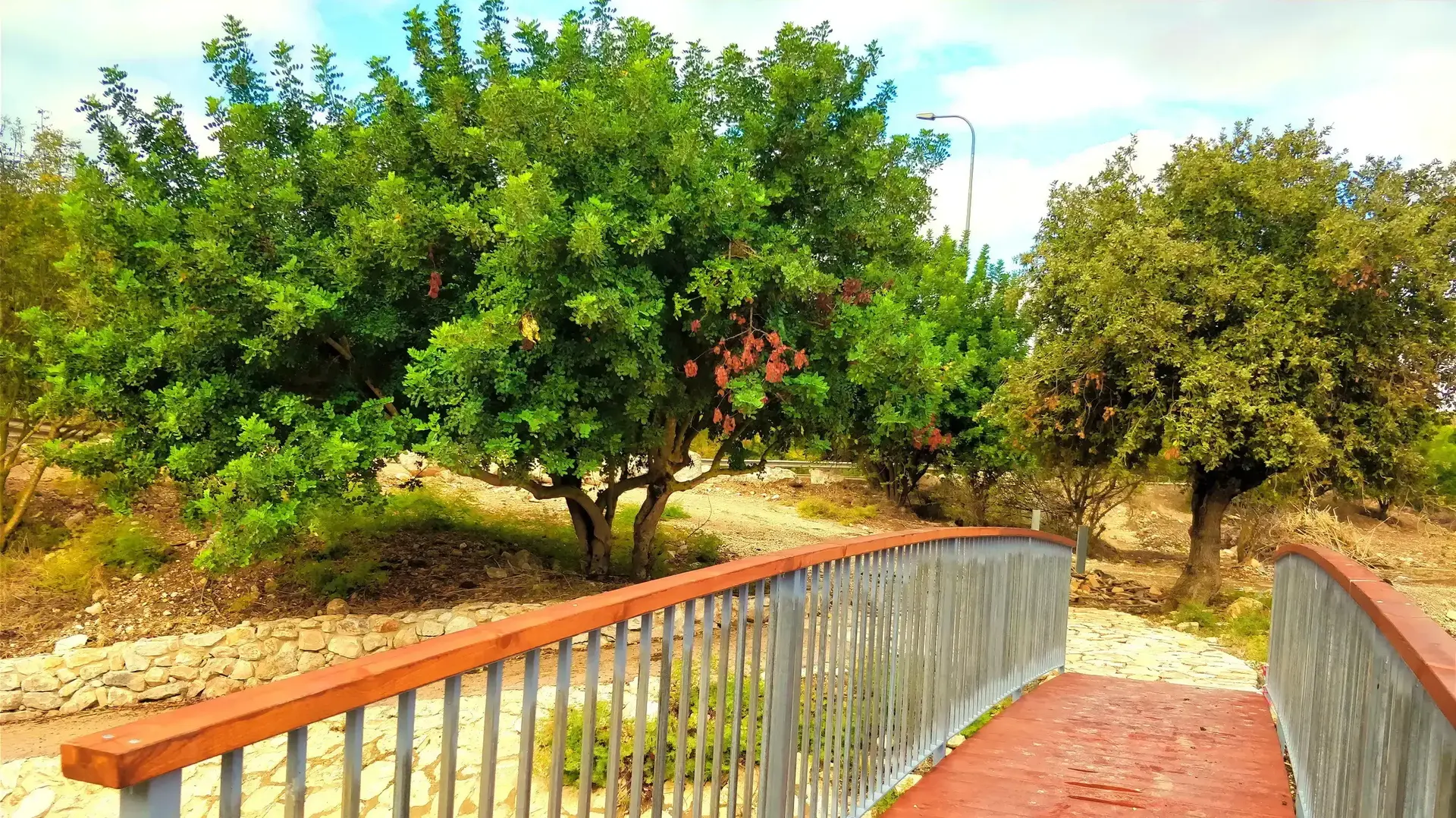 נחל הקישון נחל הקישון