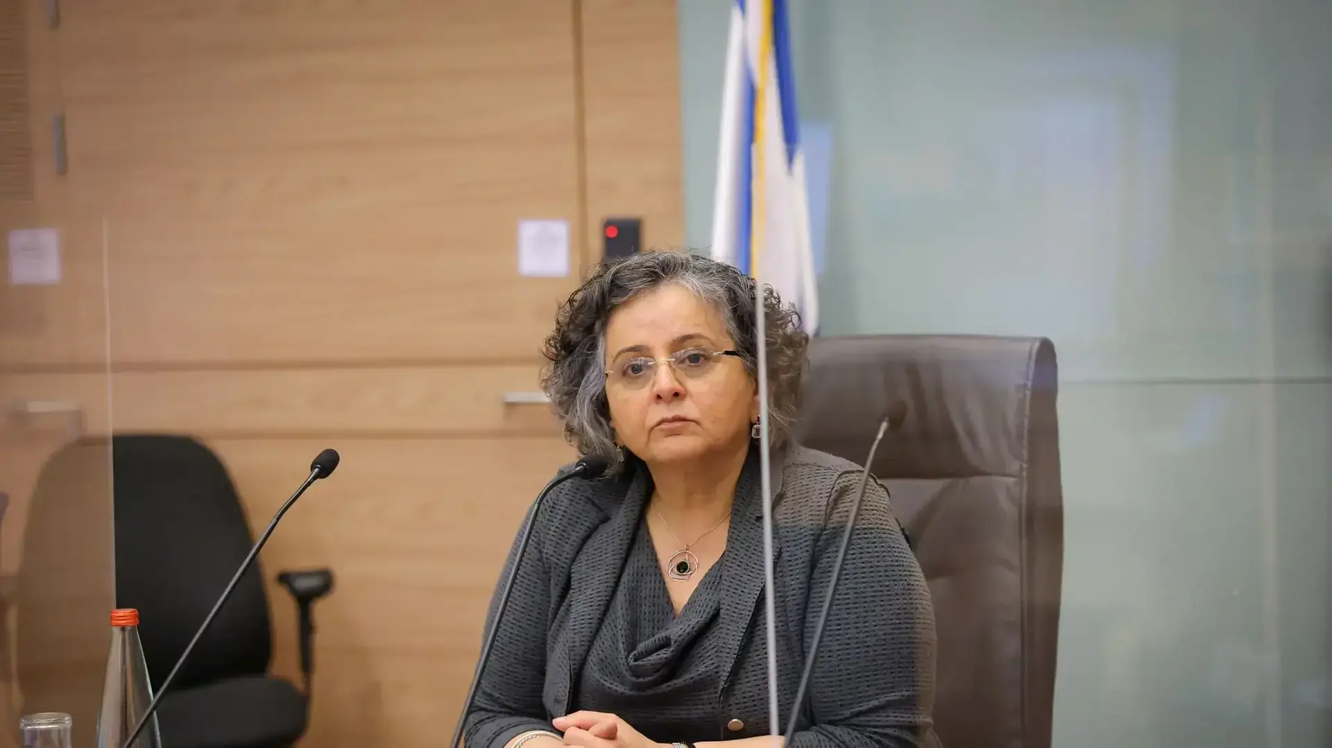 יו״ר הוועדה לקידום מעמד האישה ח״כ עאידה תומא-סלימאן
יו״ר הוועדה לקידום מעמד האישה ח״כ עאידה תומא-סלימאן