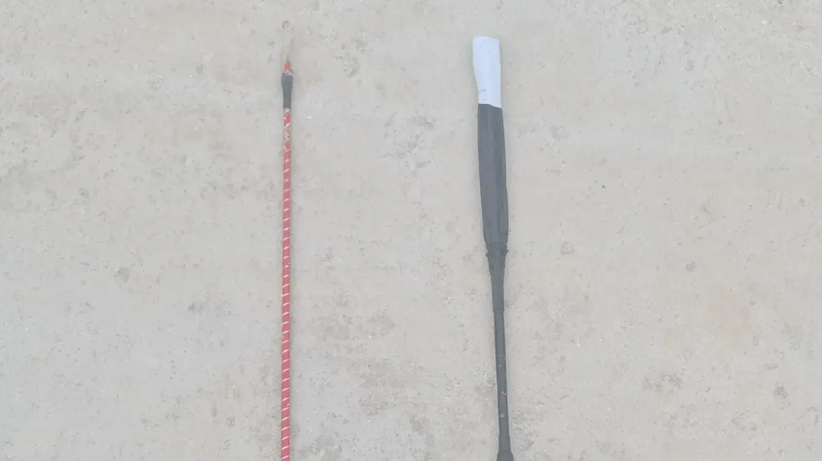 שוטים בהם השתמשו הורים להתעללות בילדיהם שוטים בהם השתמשו הורים להתעללות בילדיהם