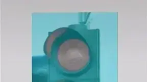 אשליית הרמזור האדום
אשליית הרמזור האדום