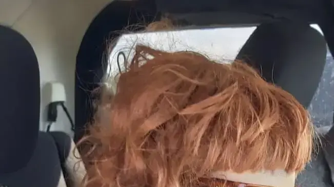 נהג השתמש בבובה כדי לנסוע בנתיב לשני נוסעים ומעלה נהג השתמש בבובה כדי לנסוע בנתיב לשני נוסעים ומעלה