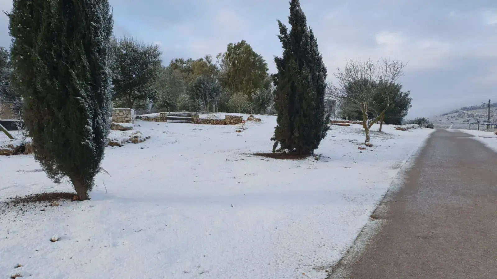 שלג בקיבוץ מלכיה, שבהרי הגליל. 15 במרץ 2022 שלג בקיבוץ מלכיה, שבהרי הגליל. 15 במרץ 2022