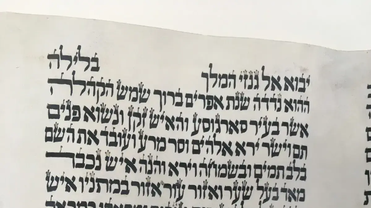 מגילת סרגוסה מגילת סרגוסה