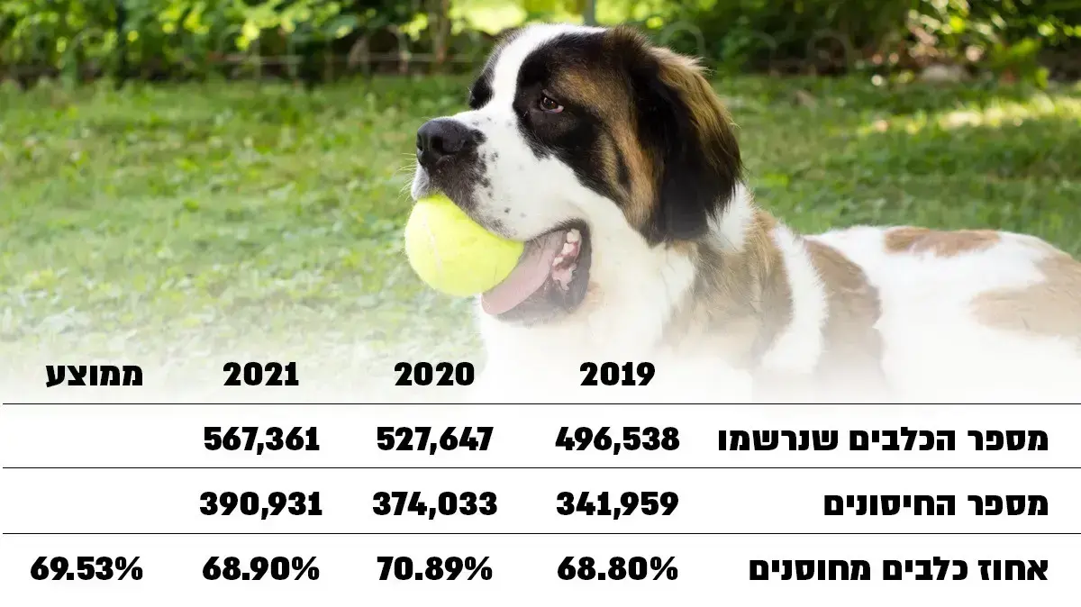 סטטיסטיקה כלבים 2022