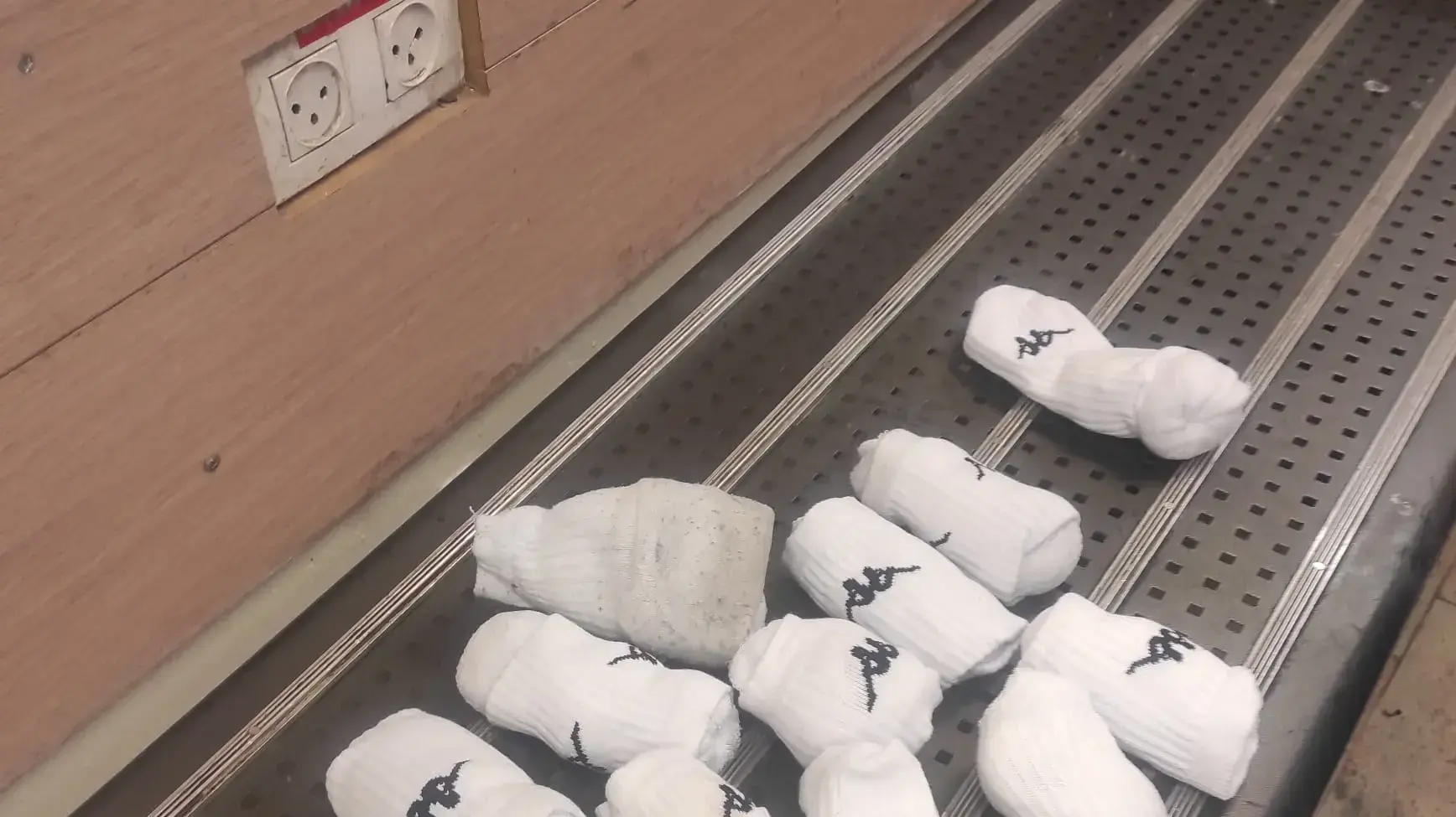 תושב פ"ת ניסה להבריח בכבודתו ארצה זוחלים נדירים בניגוד לחוק תושב פ"ת ניסה להבריח בכבודתו ארצה זוחלים נדירים בניגוד לחוק