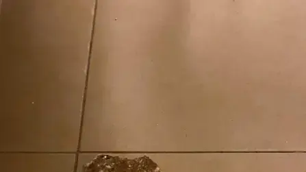 זוג הומואים שהותקף בירושלים בשל נטייתם המינית זוג הומואים שהותקף בירושלים בשל נטייתם המינית