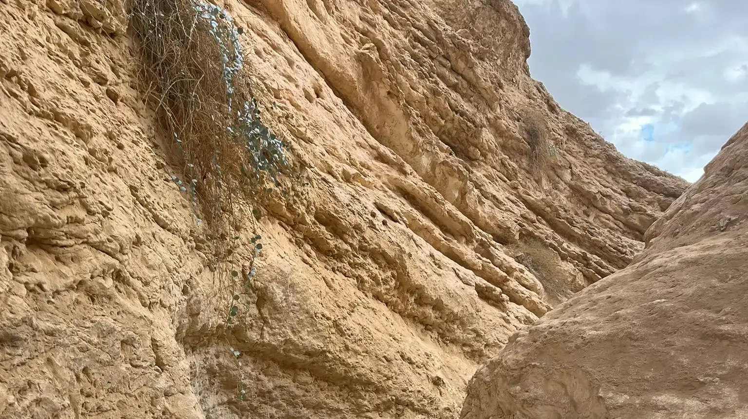 נחל גוב