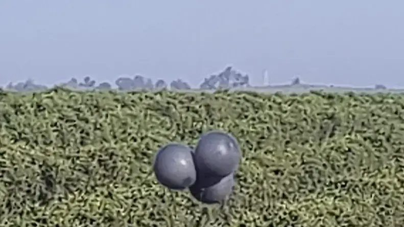 בלוני נפץ ליד שדרות. 1 באפריל 2022 בלוני נפץ ליד שדרות. 1 באפריל 2022