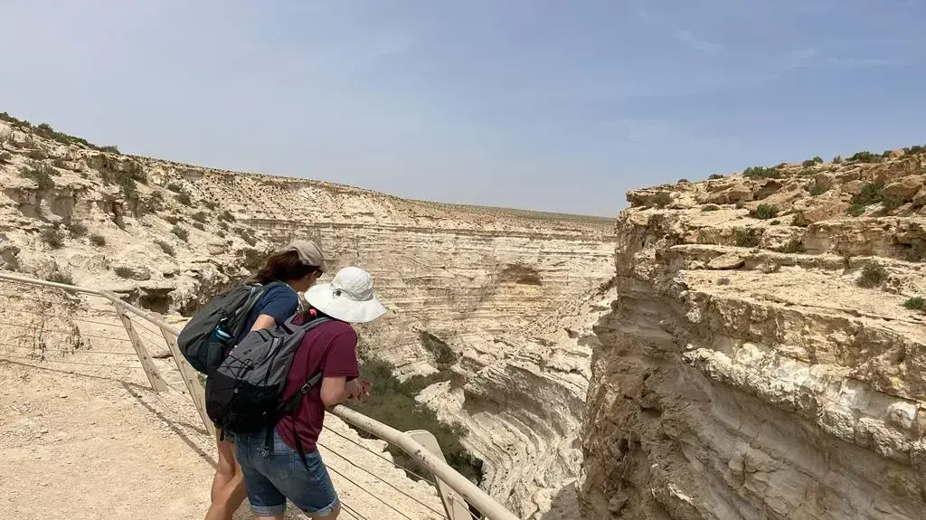 תצפית על תל ערד תצפית על תל ערד