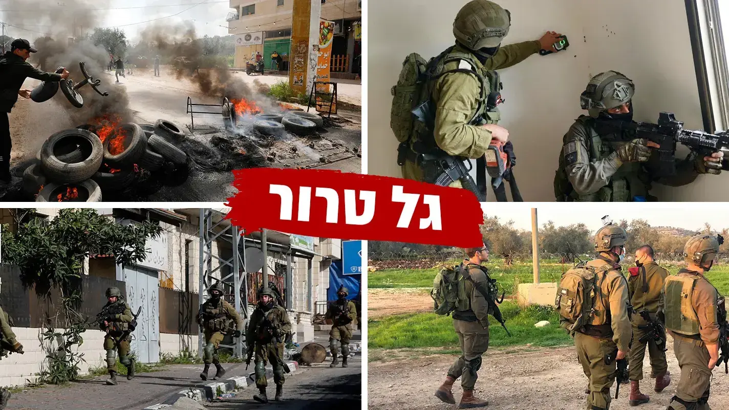 פעילות צה"ל פעילות צה"ל