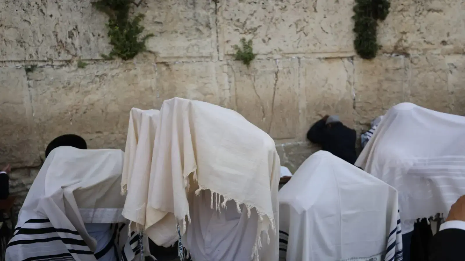 ברכת הכהנים בכותל 18 באפריל 2022 ברכת הכהנים בכותל 18 באפריל 2022