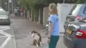 אלרעי פרייס מחוץ לביתה
במהלך תקיפה של הפעיל סדי בן שטרית אלרעי פרייס מחוץ לביתה
במהלך תקיפה של הפעיל סדי בן שטרית