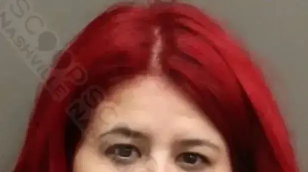 נעצרה על נהיגה בשכרות והציעה לשוטר אקט מיני שלמדה מהסדרה "ברידג'רטון"