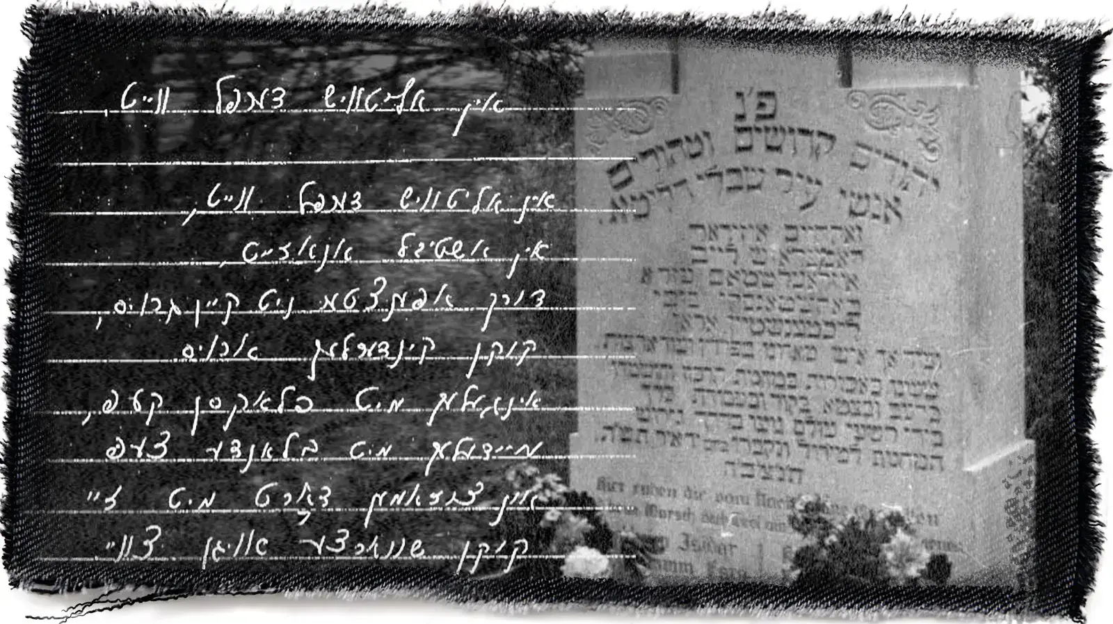 גטו שאוולי גטו שאוולי
