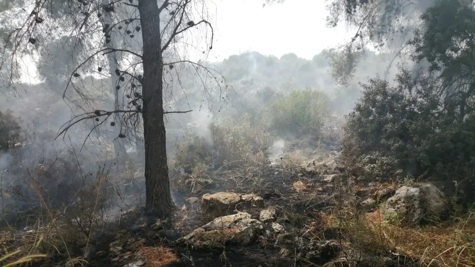 שריפה בשטחי האש בבא"פ אליקים בצפון, 30 באפריל 2022 שריפה בשטחי האש בבא"פ אליקים בצפון, 30 באפריל 2022