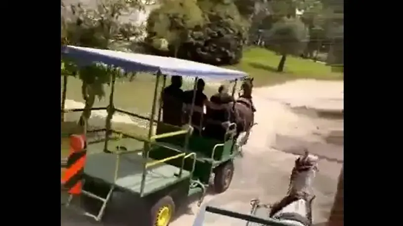 צעירים תושבי עכו התפרעו בקיבוץ כפר מסריק, 30 באפריל 2022