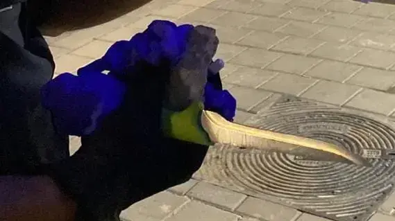 תושב השטחים נעצר סמוך לצור יצחק בחשד שנכנס לישראל ללא אישור כשברשותו סכין ומכתב בדבר כוונתו לבצע פיגוע, 13 במאי 2022