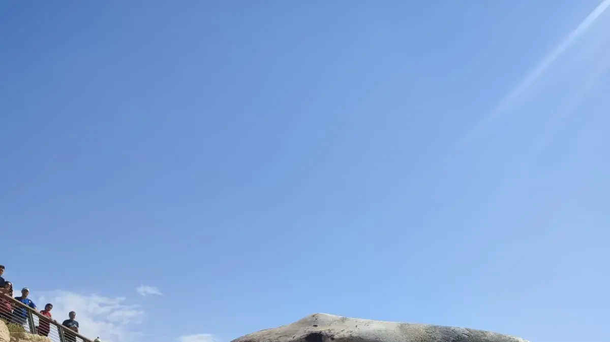 פינוי הלוויתן מחוף יפו פינוי הלוויתן מחוף יפו
