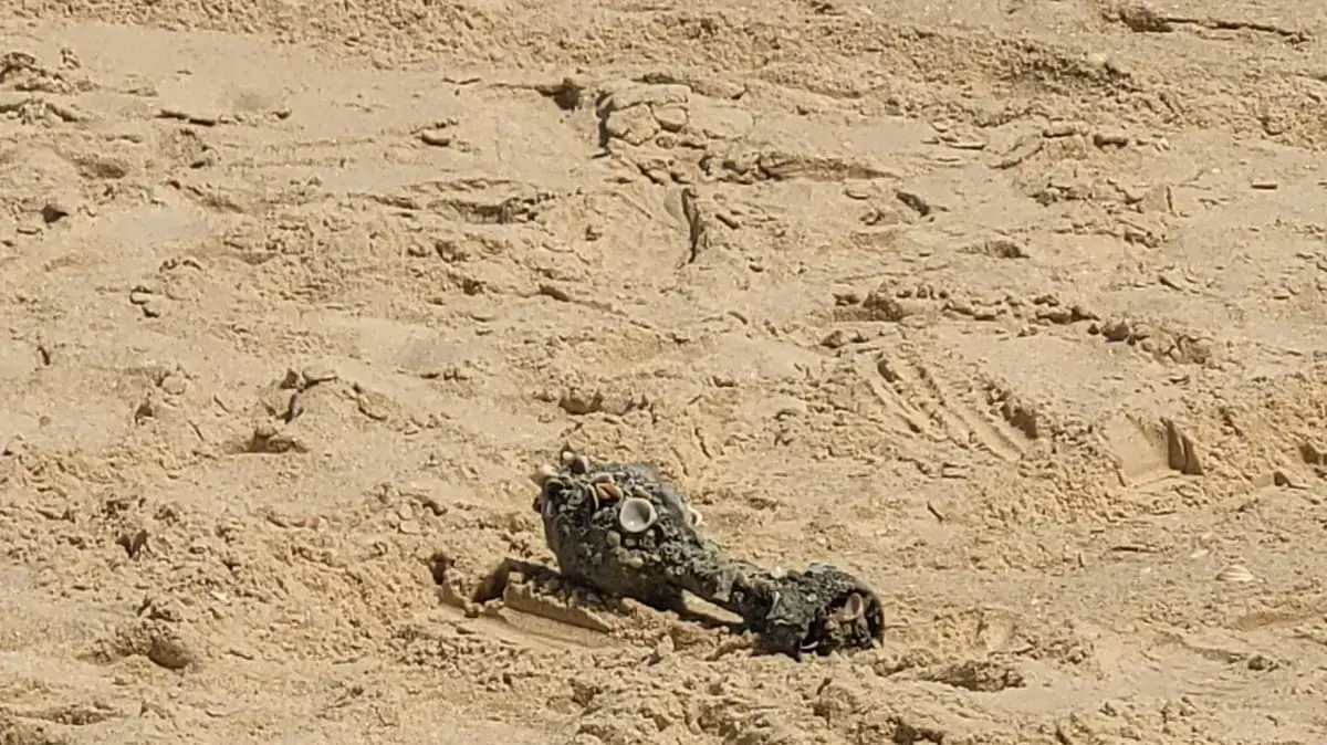 נפל של מרגמה שהתגלה בחוף ראשון לציון. 28 במאי 2022