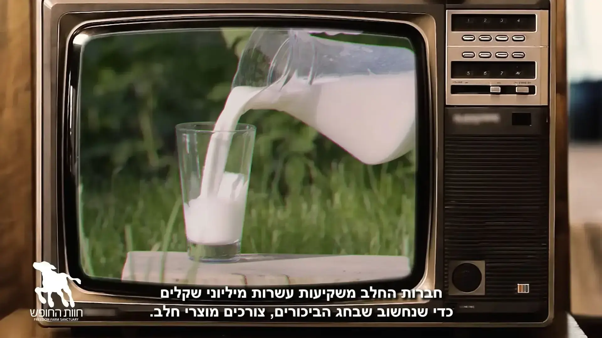 פרסומת חוות החופש, שבועות 2022 פרסומת חוות החופש, שבועות 2022