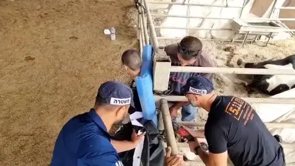  מעצר מפגינים שפלשו לרפתות בקיבוץ בית העמק וכבלו את עצמם בשלשלאות