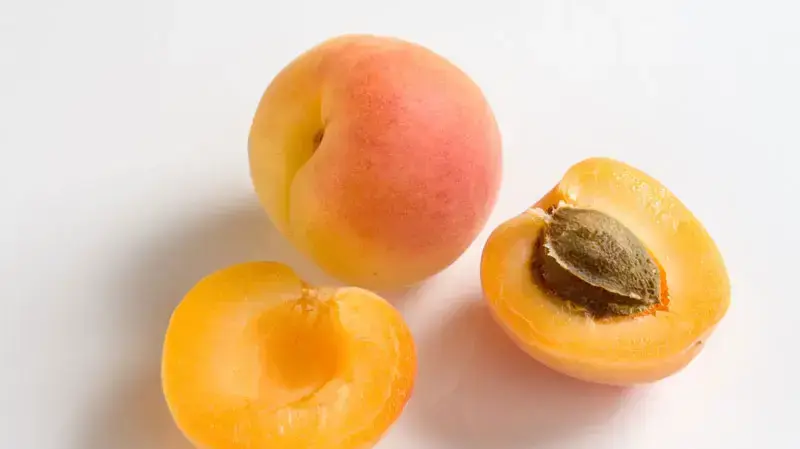 משמשים משמשים