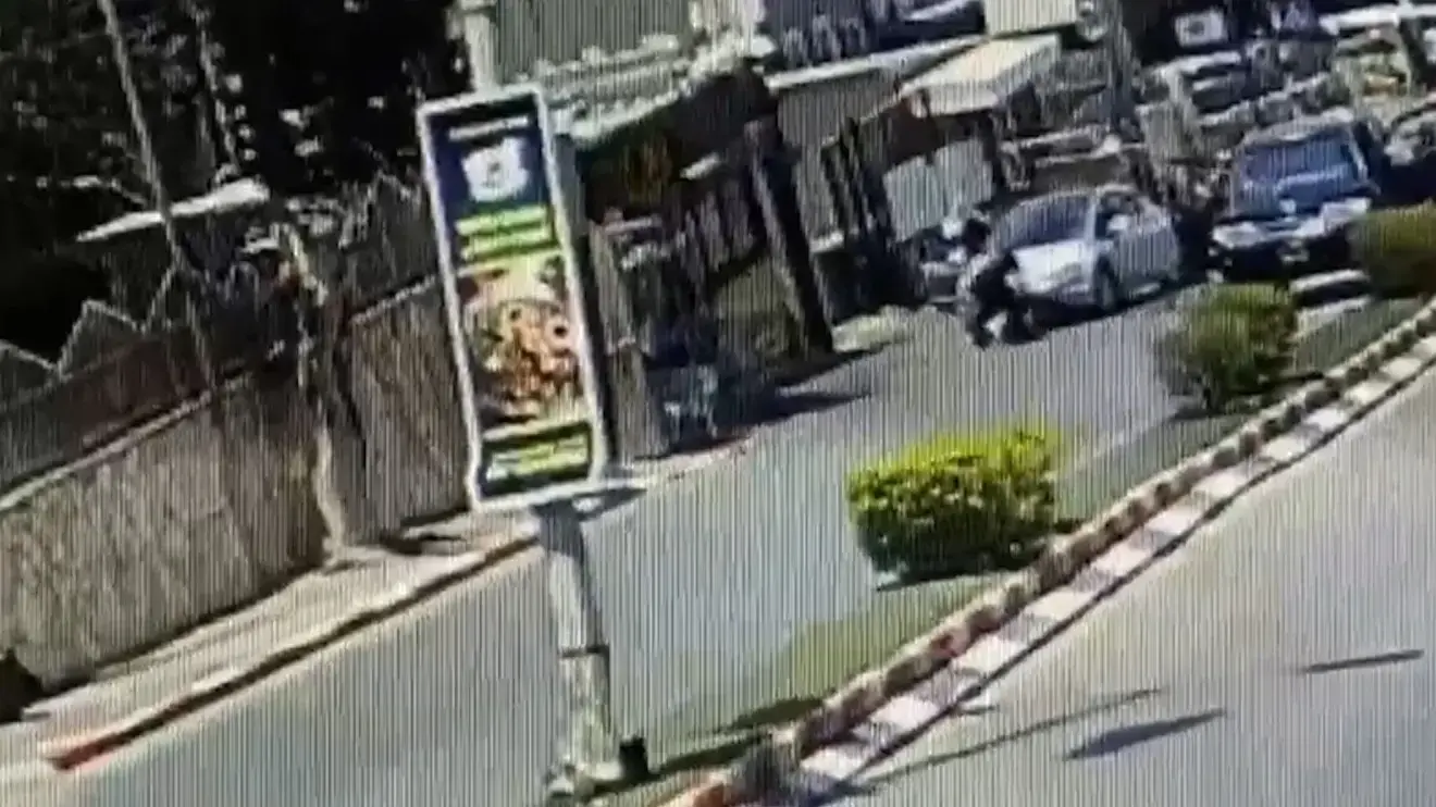 פיטפול נשך בן 9 שצעד ברחוב לדוכן שווארמה 15.06.22