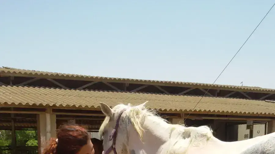 ספיר נחום עם הסוס במלכישוע ספיר נחום עם הסוס במלכישוע