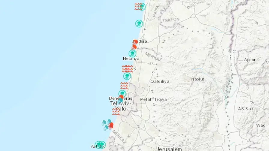 מפת הימצאות מדוזות בחופי ישראל מפת הימצאות מדוזות בחופי ישראל
