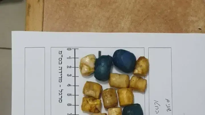 התחזה לפורץ במטרה להעצר ולהבריח סמים התחזה לפורץ במטרה להעצר ולהבריח סמים