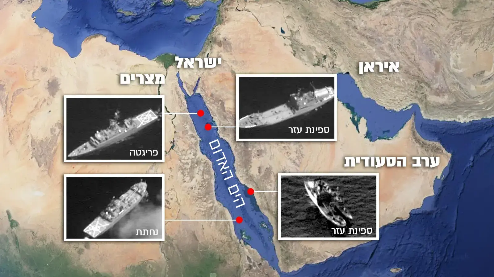 מפצת הים האדום 