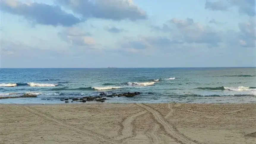 סימני זחילה של צבת ים לאחר ניסיון הטלה סימני זחילה של צבת ים לאחר ניסיון הטלה