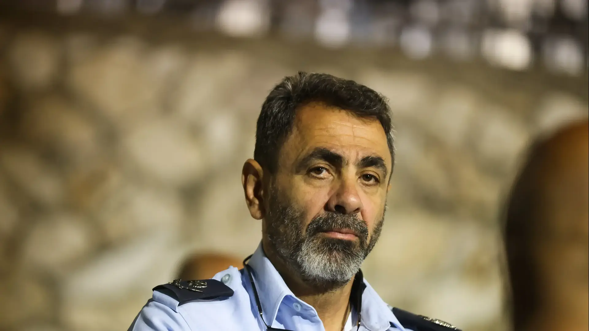 שמעון לביא שמעון לביא