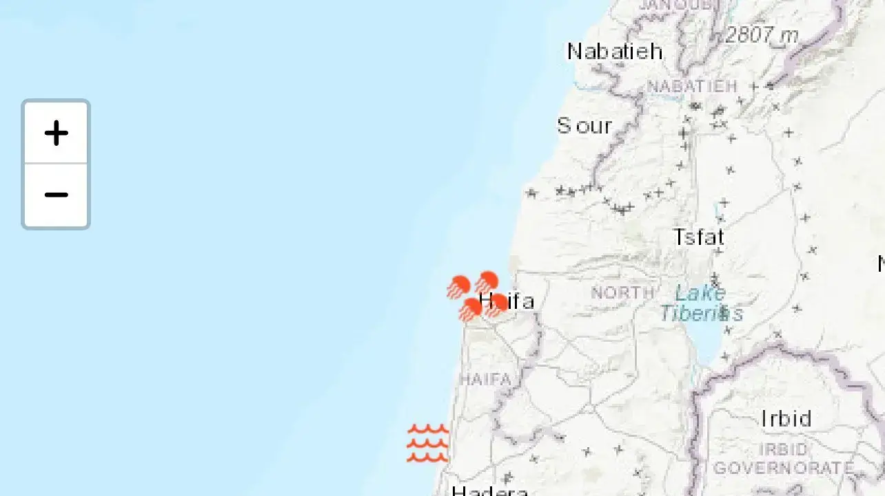 מפת המדוזות, 21 ביולי 2022 מפת המדוזות, 21 ביולי 2022