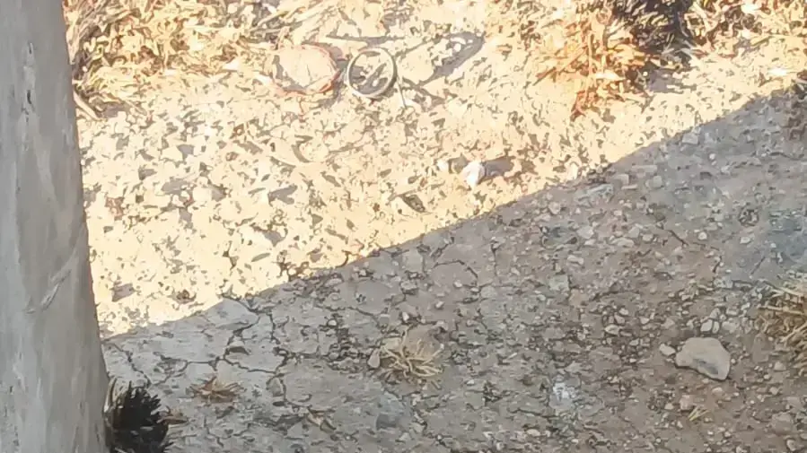מטען הדמה שנתפס אצל מחבל מכפר פאג'ר שיידה בקבוק תבערה לעבר קיבוץ מגדל עוז מטען הדמה שנתפס אצל מחבל מכפר פאג'ר שיידה בקבוק תבערה לעבר קיבוץ מגדל עוז