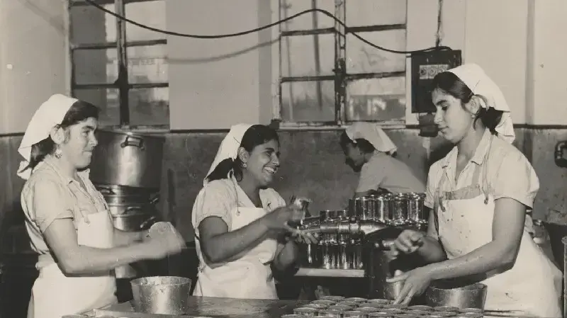 מפעל שימורי יבנה, שנות החמישים מפעל שימורי יבנה, שנות החמישים