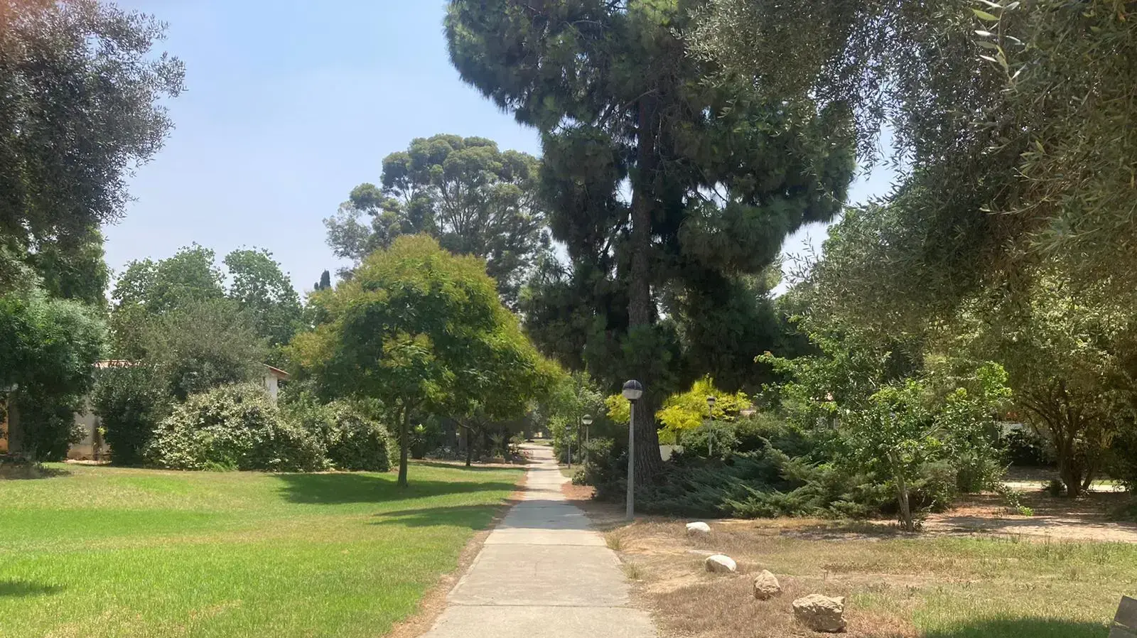 קיבוץ מפלסים, 3 באוגוסט 2022